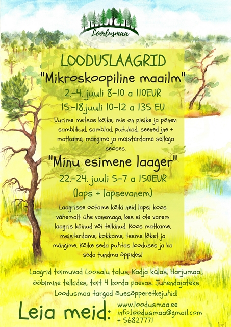 suviste laagrite plakat