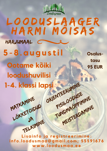 59431469_336704177012285_207222302197153792_n